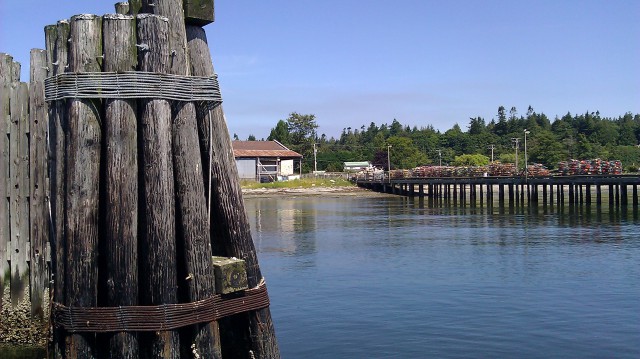 From Seattle: August 19: On the way to Lummi Island. Ferry dock.