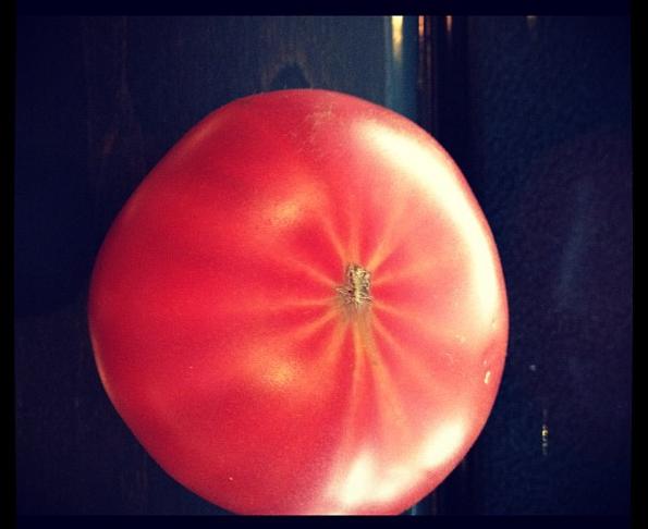 築地御厨の内田さんにトマト頂く。