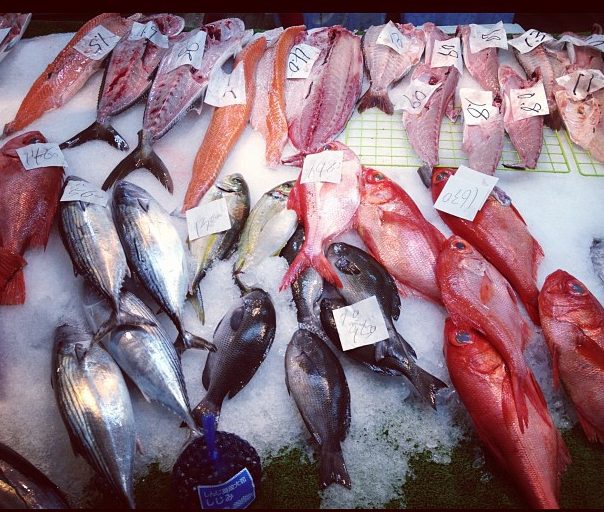 水揚げされたばかり。鹿児島魚市場。