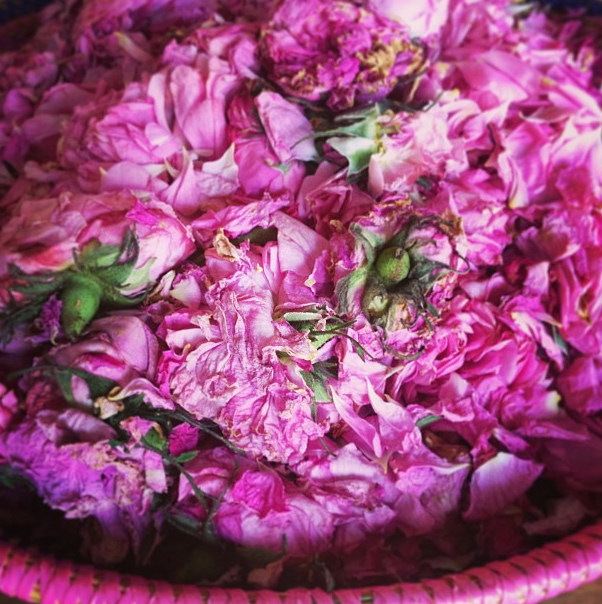 鹿児島の薔薇園から無農薬のバラがたくさん届いたのでさっそくシロップに。 Juneにコツをきいたら流石でした