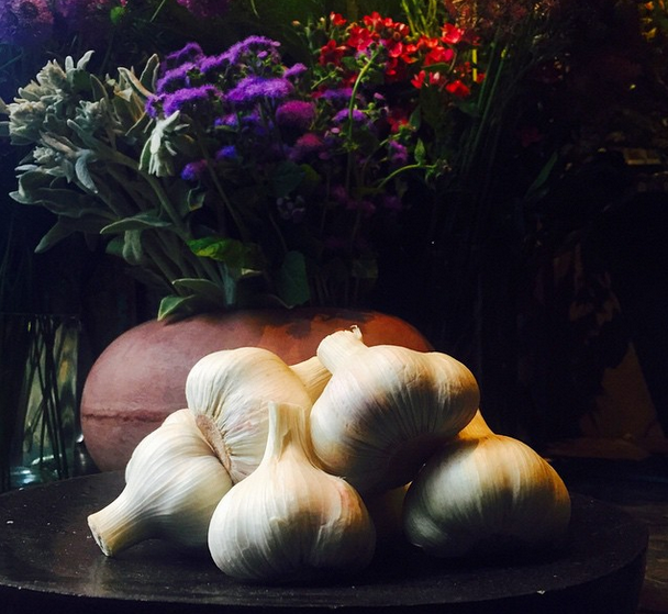 new garlic from Kagawa