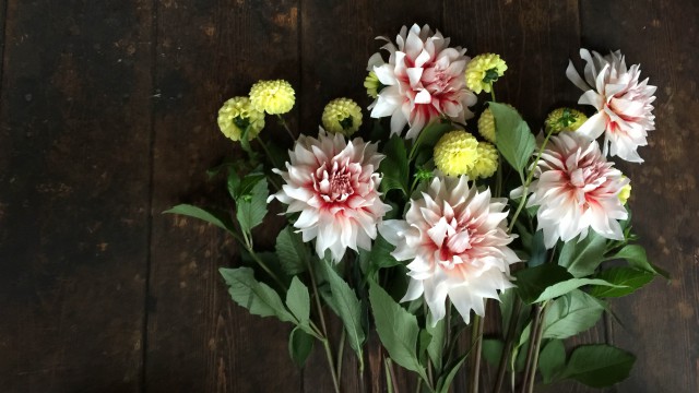 flower arrangement : work shop 9/16＠THE LITTLE SHOP OF FLOWERS